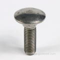 Carriage Bolt Full Threaded Stainless Steel Plain